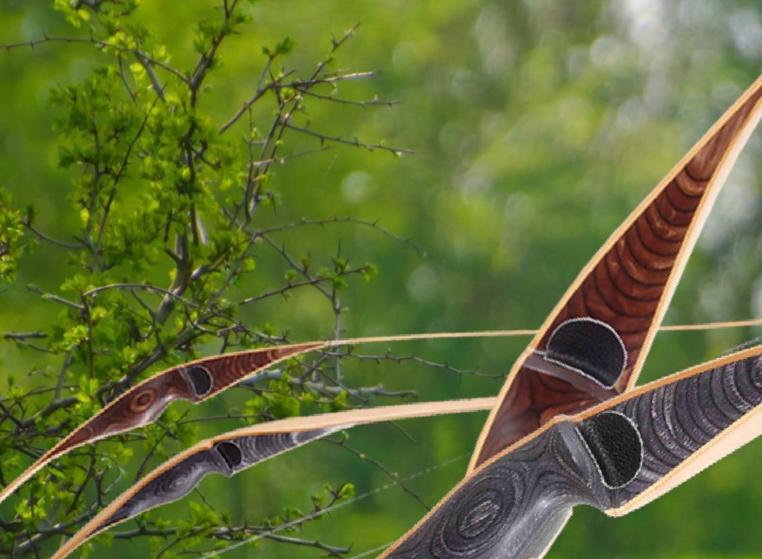 Familienrabatt am 15. Mai und andere News