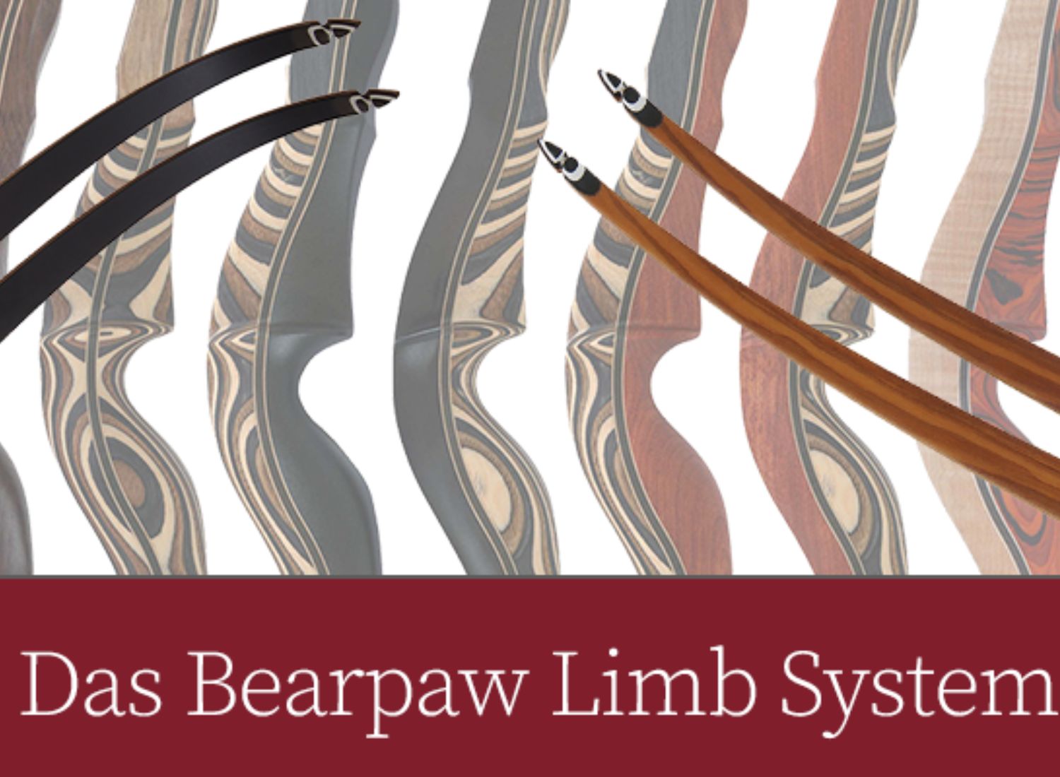 Das neue Bearpaw Limb System – Eine Übersicht