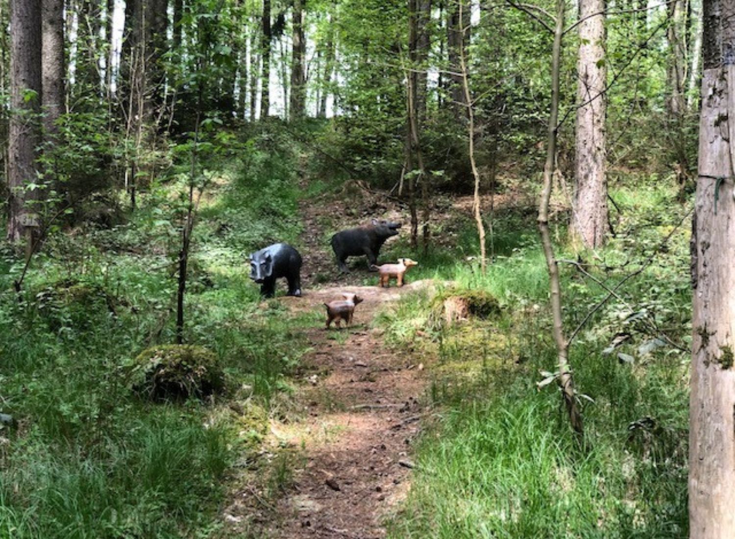 Runter von der Couch – auf in die Natur! Wir öffnen ab 11.5 den Parcours