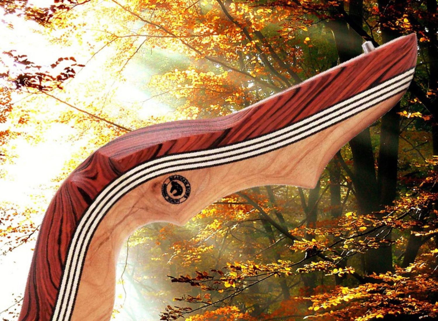 Neues aus dem Bogensport