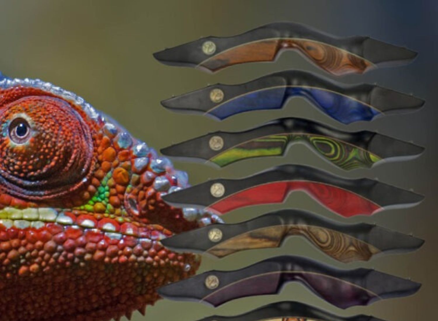 Neu in unserem Sortiment: Drake Archery