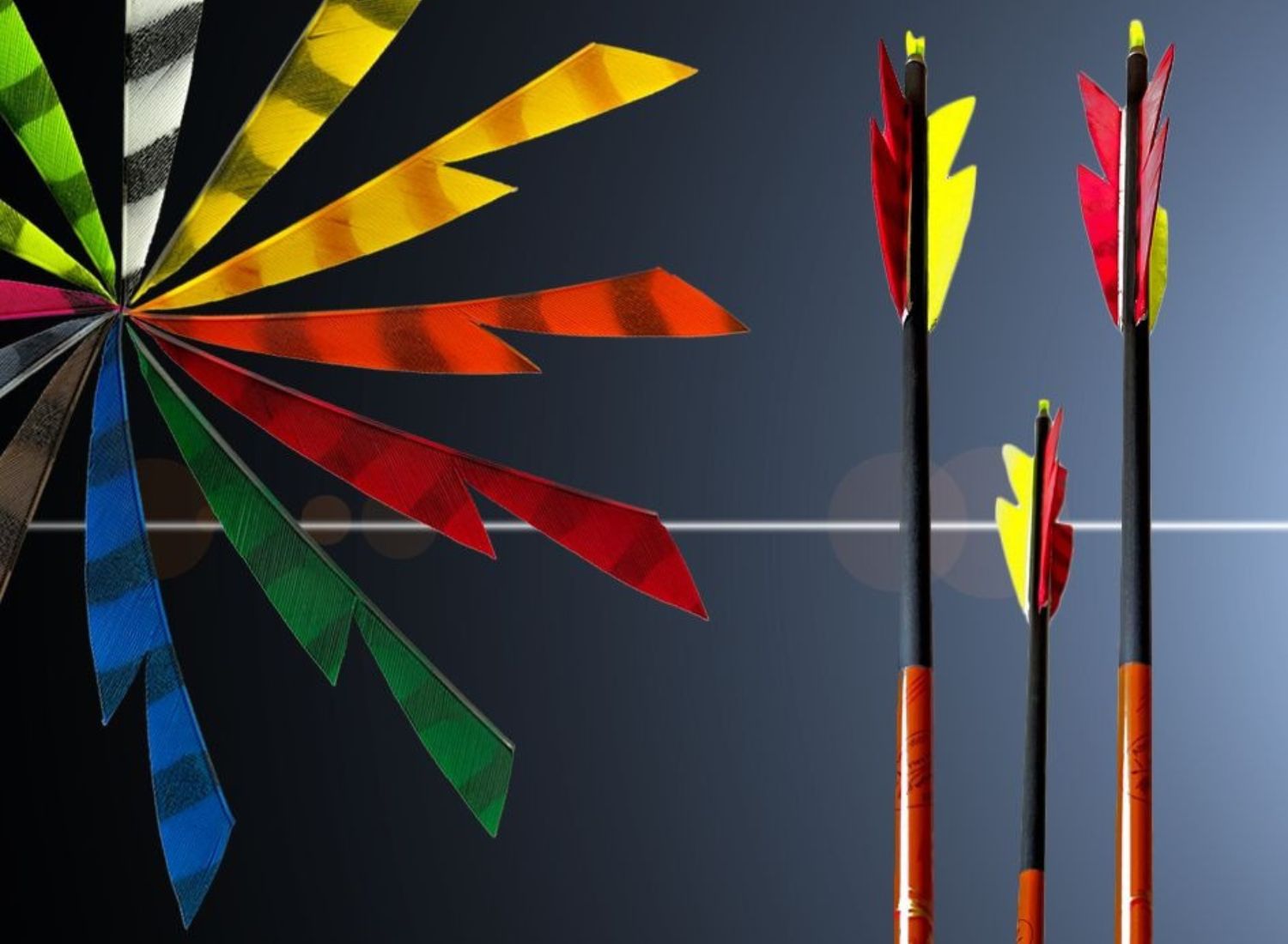 Faszination für Federformen