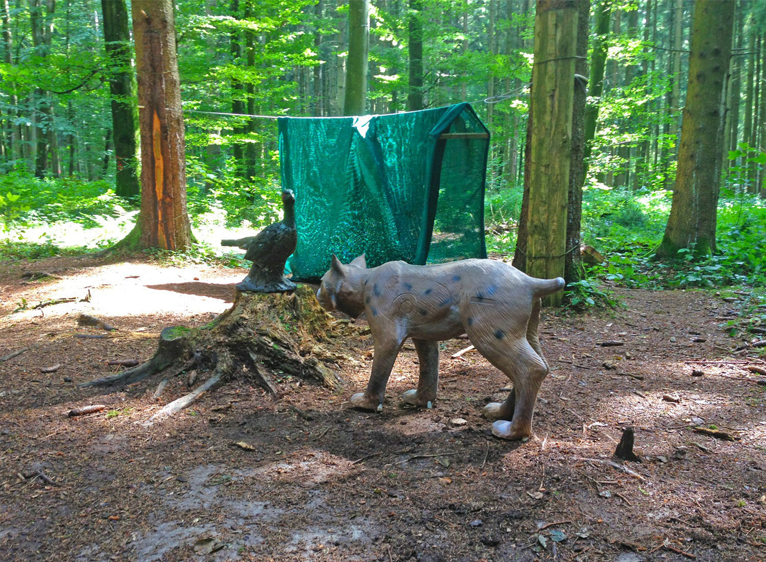 Parcoursumbau vor dem Urlaub.