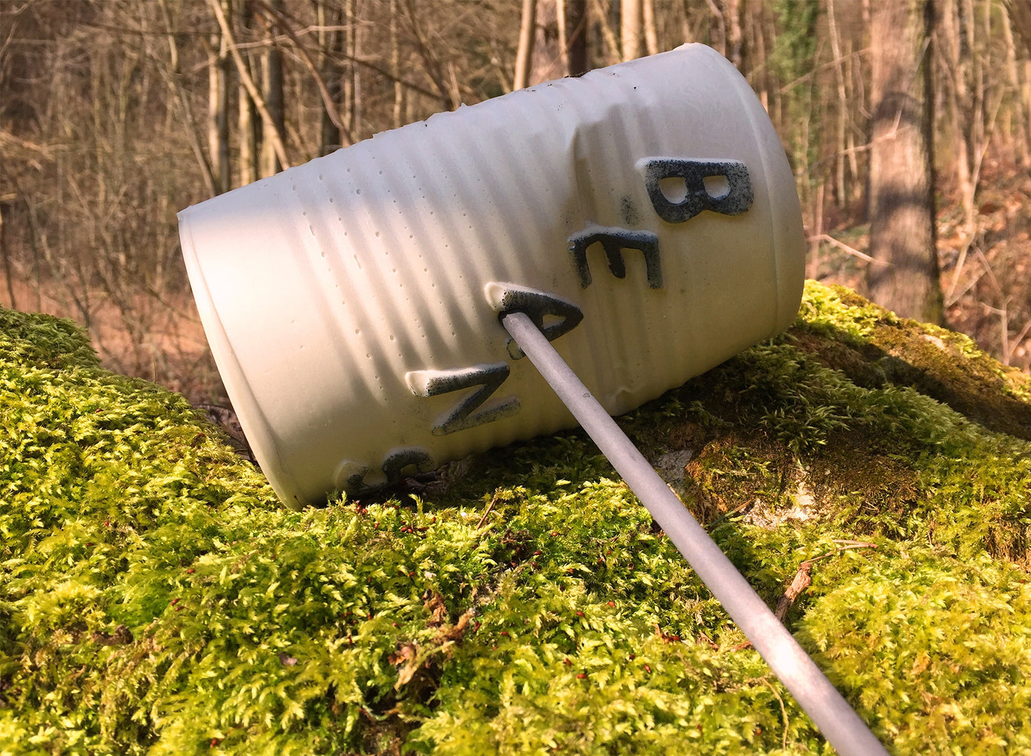 LongLife Game-Targets