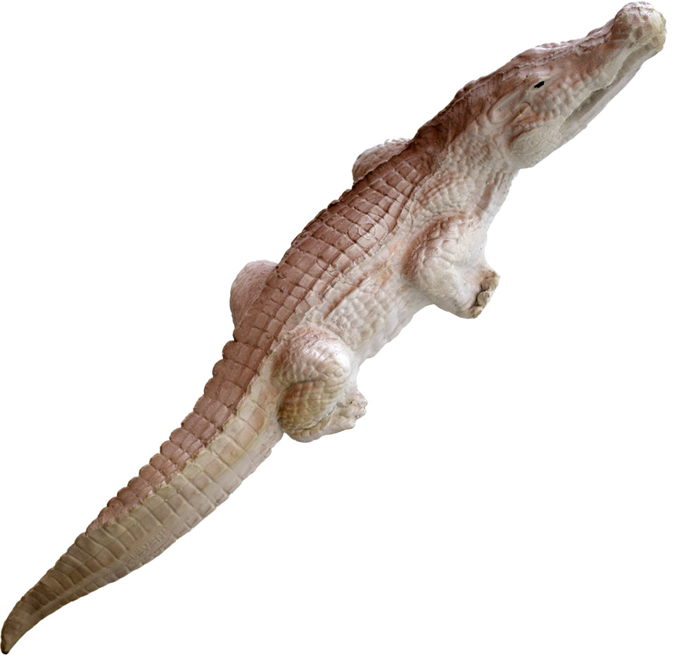 Eleven Kleines Krokodil