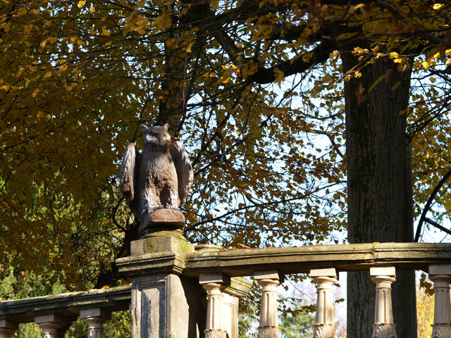Longlife Großer Uhu