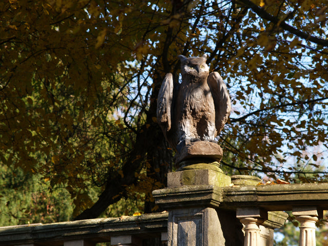 Longlife Großer Uhu