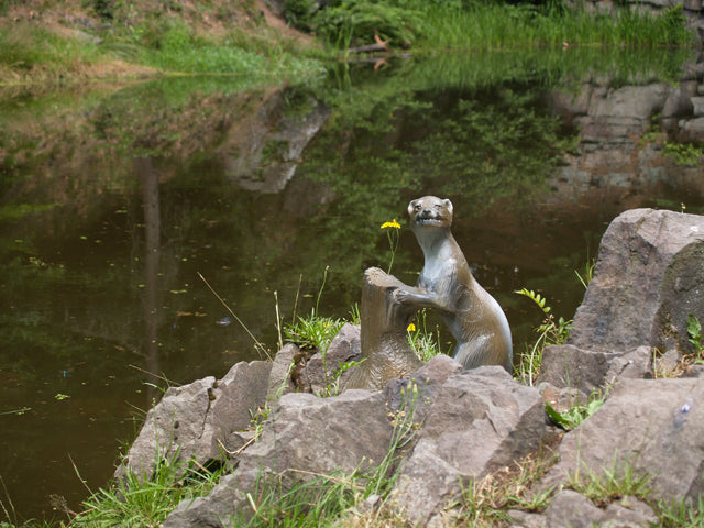 Longlife Steinmarder