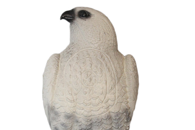 Franzbogen Falke