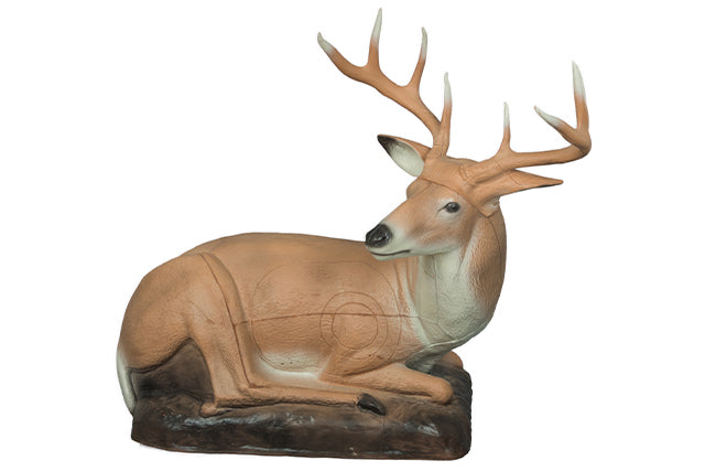 Franzbogen Hirsch liegend