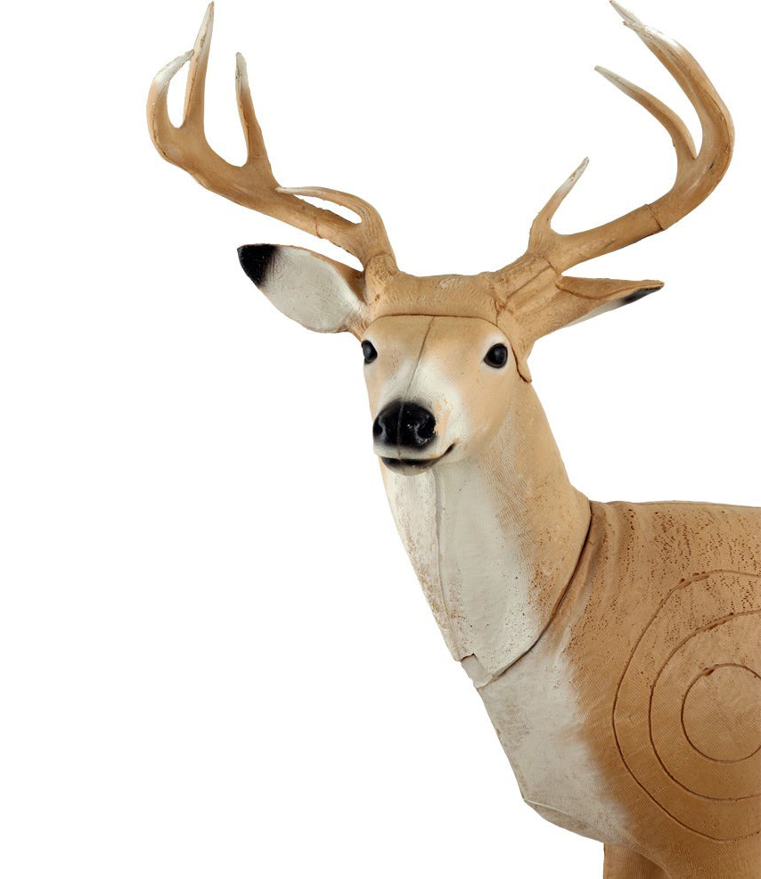 Franzbogen Hirsch stehend