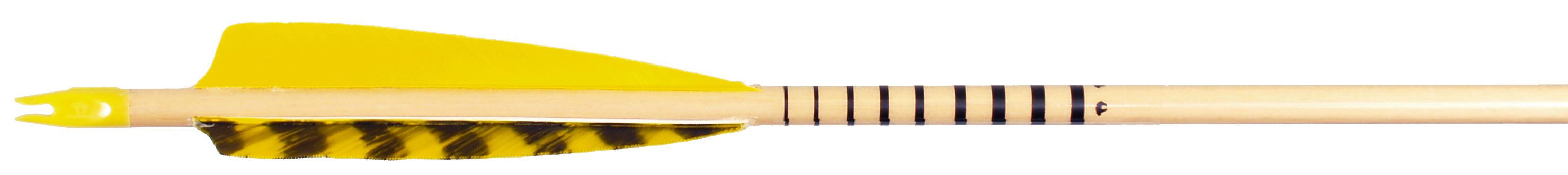 Bearpaw Pfeilcresting Clear