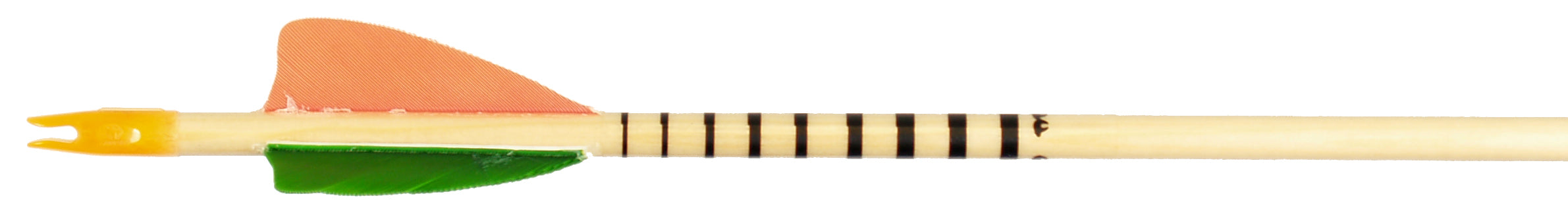 Bearpaw Pfeilcresting Clear