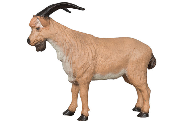 Franzbogen Bergziegenbock