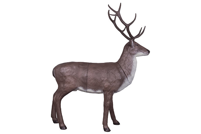 Franzbogen Rothirsch