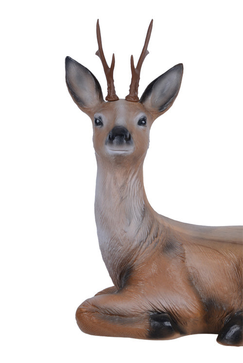 Longlife Rehbock liegend