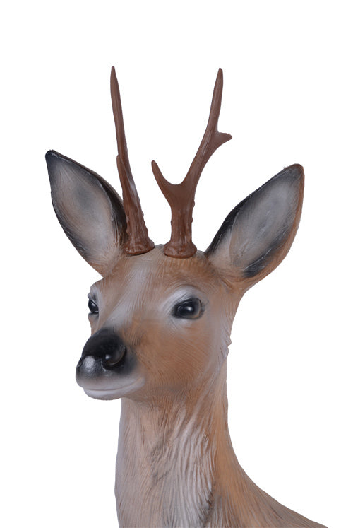 Longlife Rehbock liegend