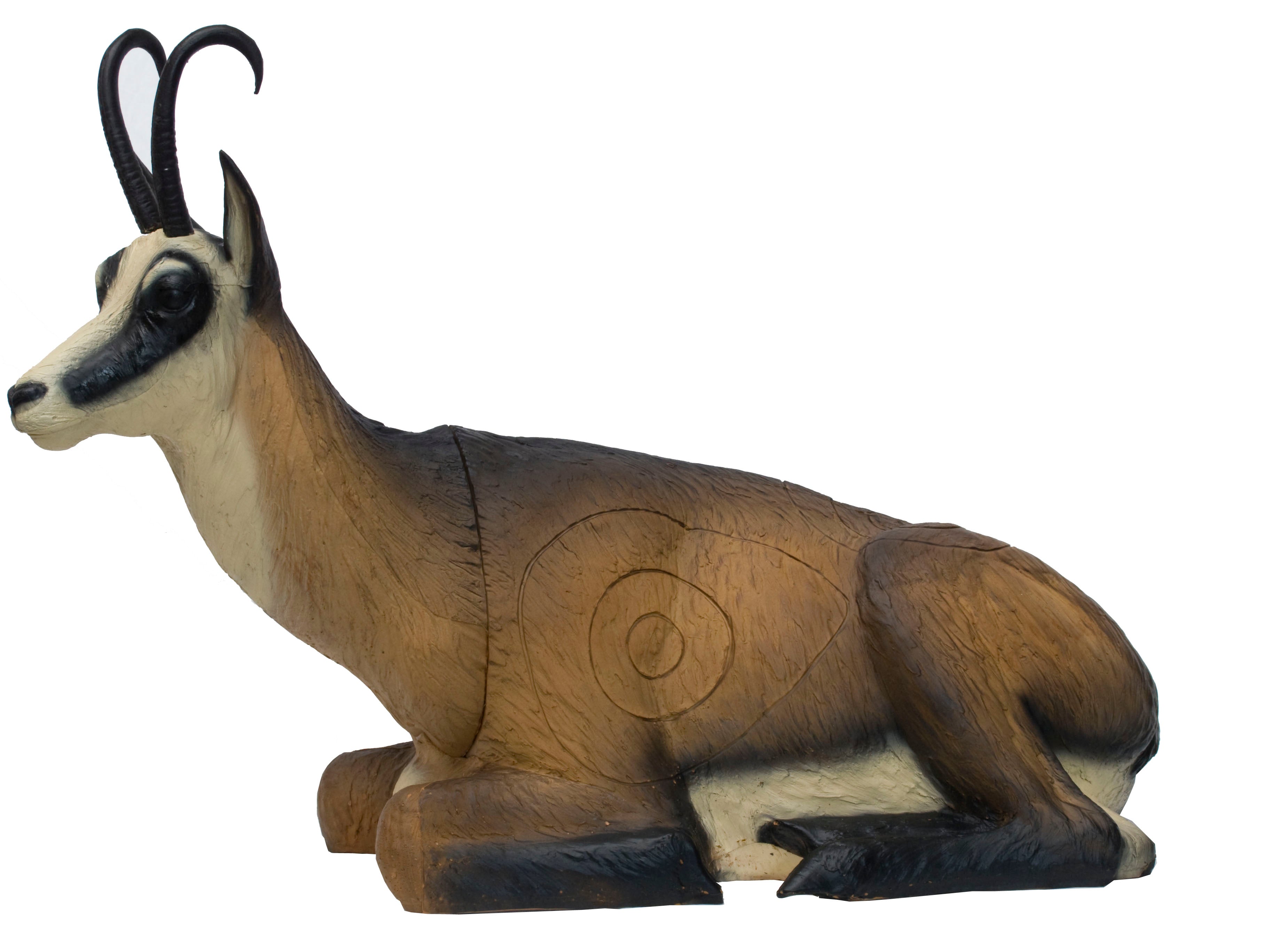 SRT Gämse Sommer liegend