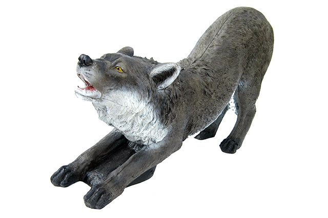 Franzbogen Schwarzer Wolf kniend