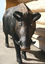 Leitold, Keiler stark