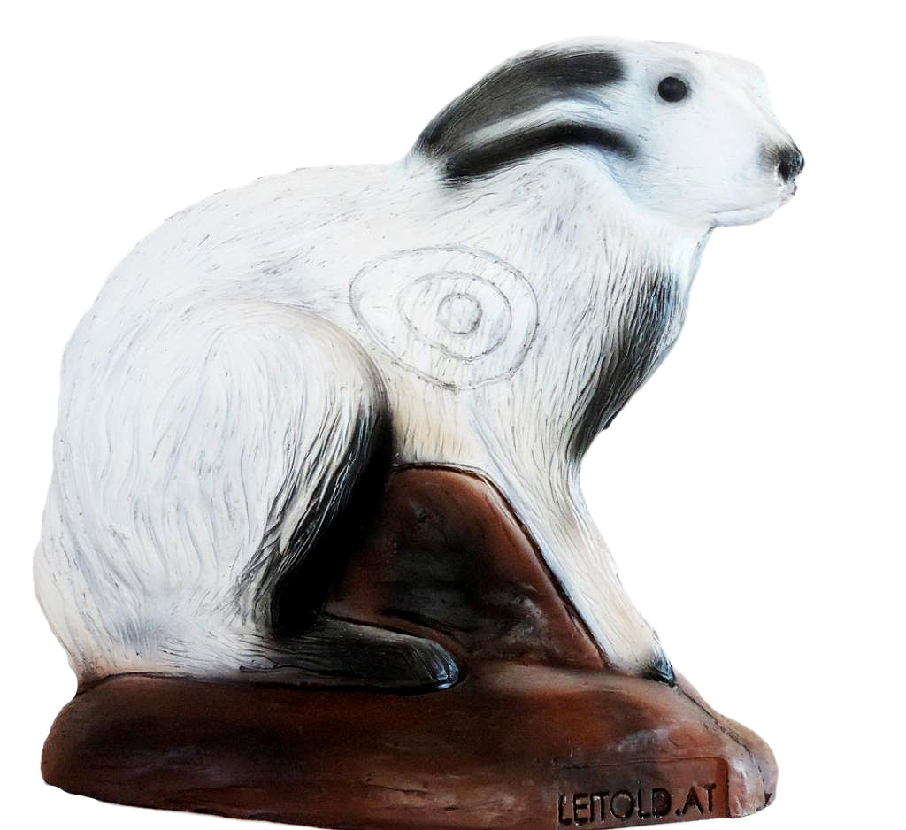 Leitold, Schneehase sitzend