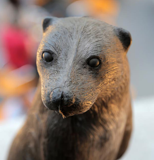 Leitold, Fischotter stehend