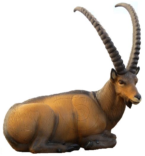 SRT Steinbock liegend