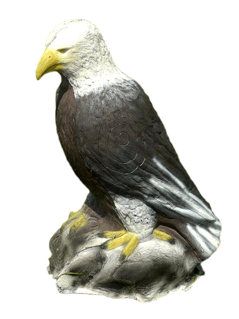 Leitold, Weißkopfseeadler sitzend