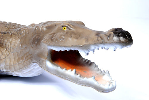 Franzbogen Krokodil Klein