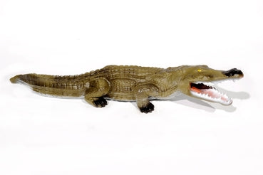 Franzbogen Krokodil Klein