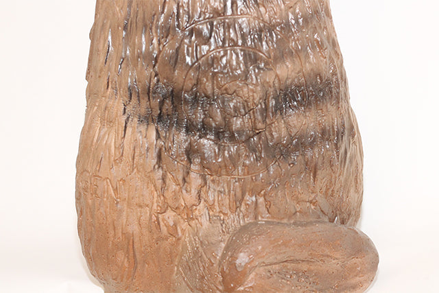 Franzbogen Erdmännchen