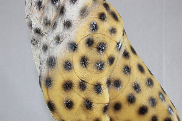 Franzbogen Gepard sitzend