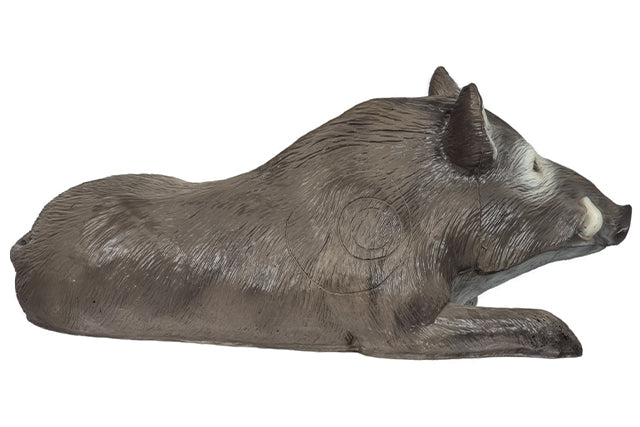 Franzbogen Eber liegend