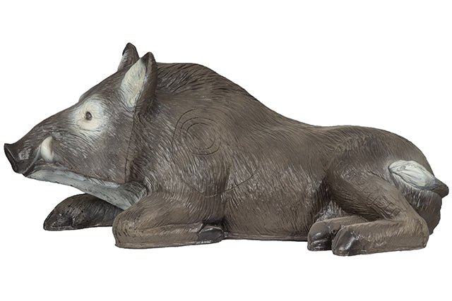 Franzbogen Eber liegend