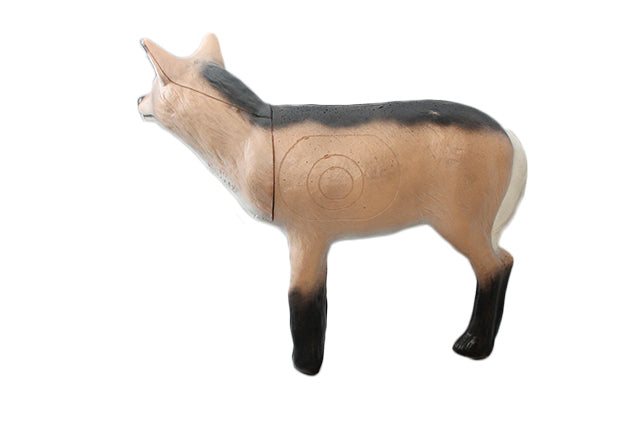 Franzbogen Kojote laufend