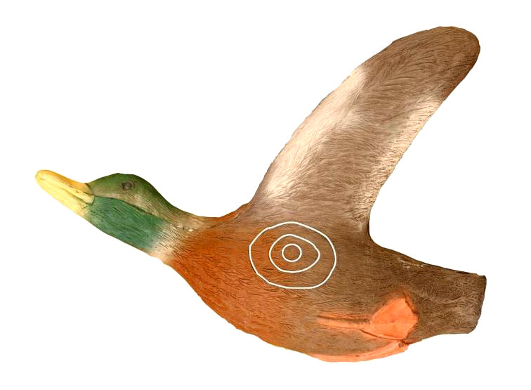 Leitold, streichende Ente