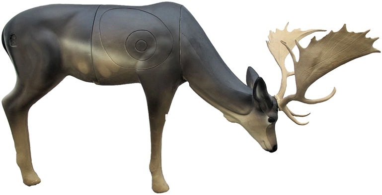 SRT Damhirsch melanche äsend