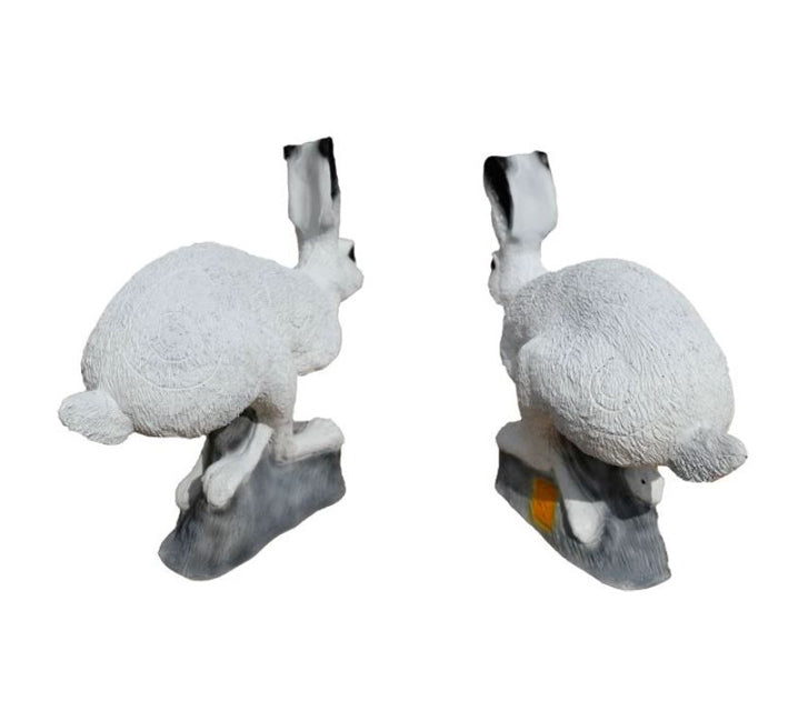 SRT laufender Schneehase