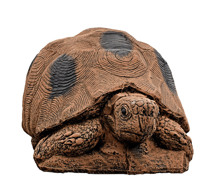 Wildcrete Schildkröte