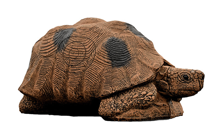 Wildcrete Schildkröte