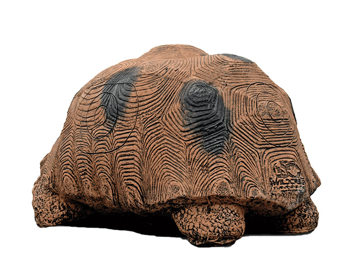 Wildcrete Schildkröte