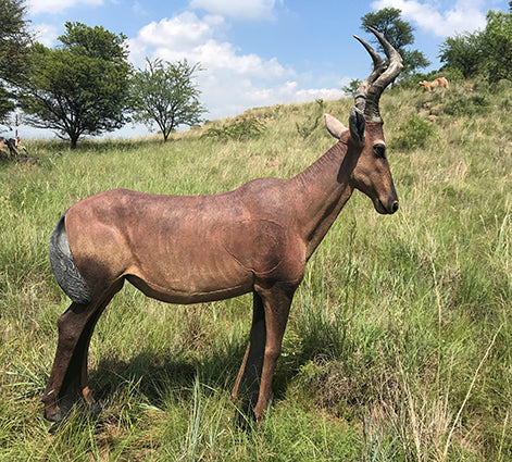 Wildcrete Kuhantilope