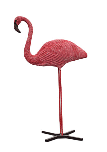 Wildcrete Flamingo stehend