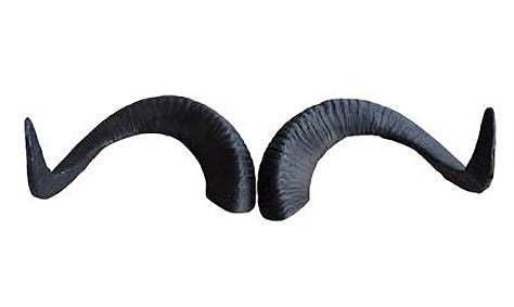 Leitold, 1 Paar Marco Polo Hörner