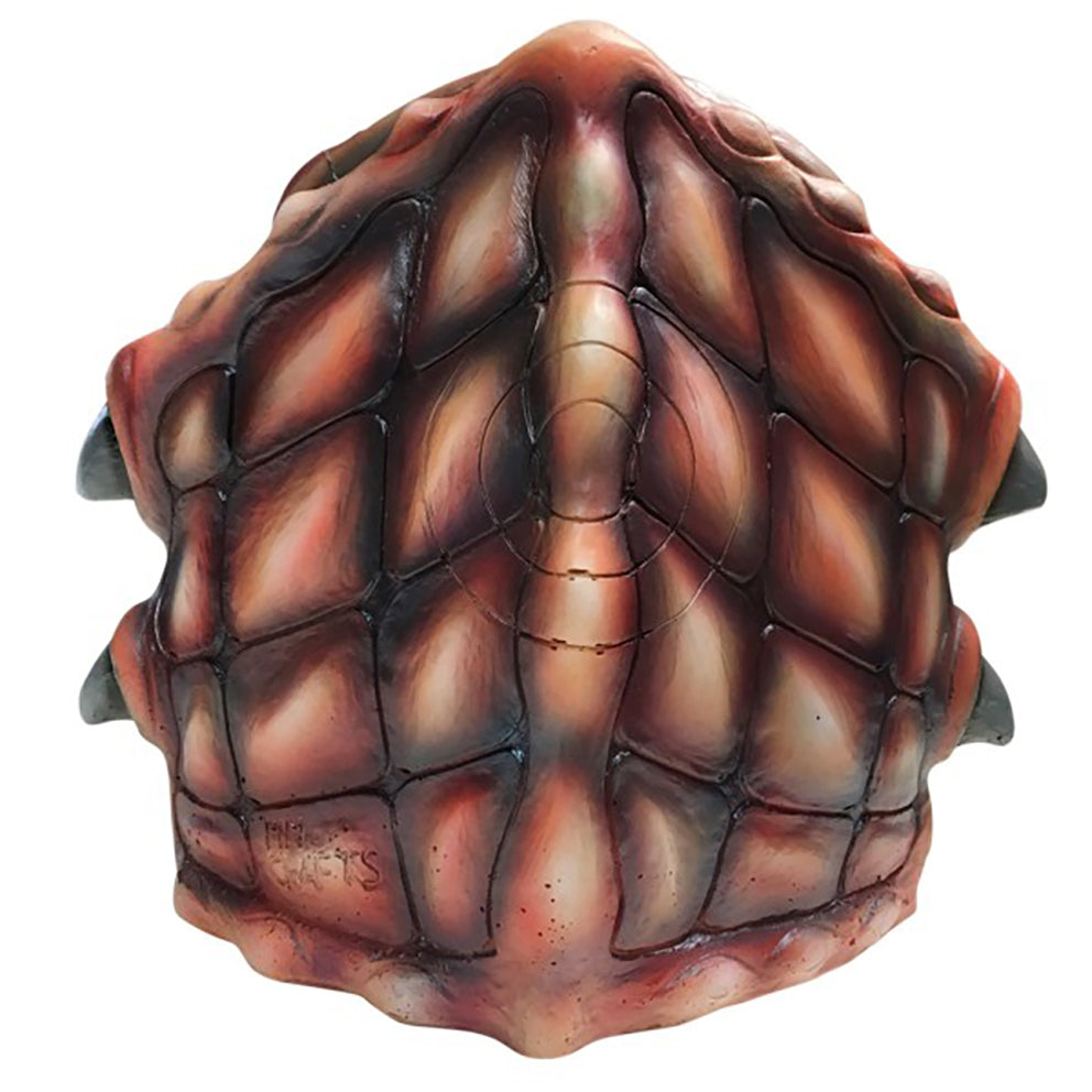 MMC Frutti di Mare Standard