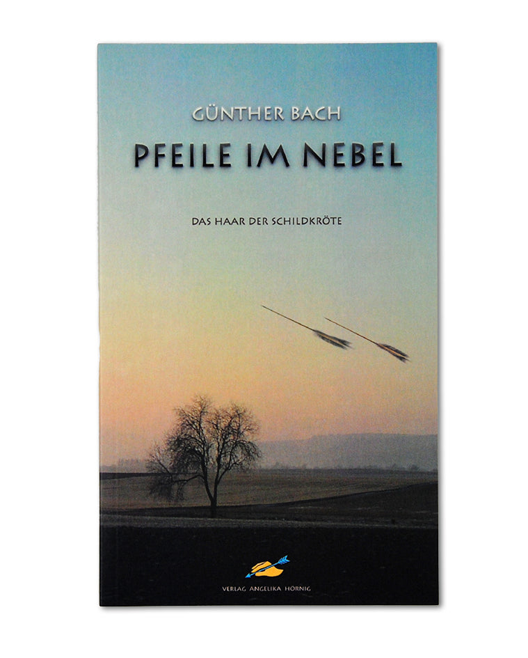 Buch Pfeile im Nebel