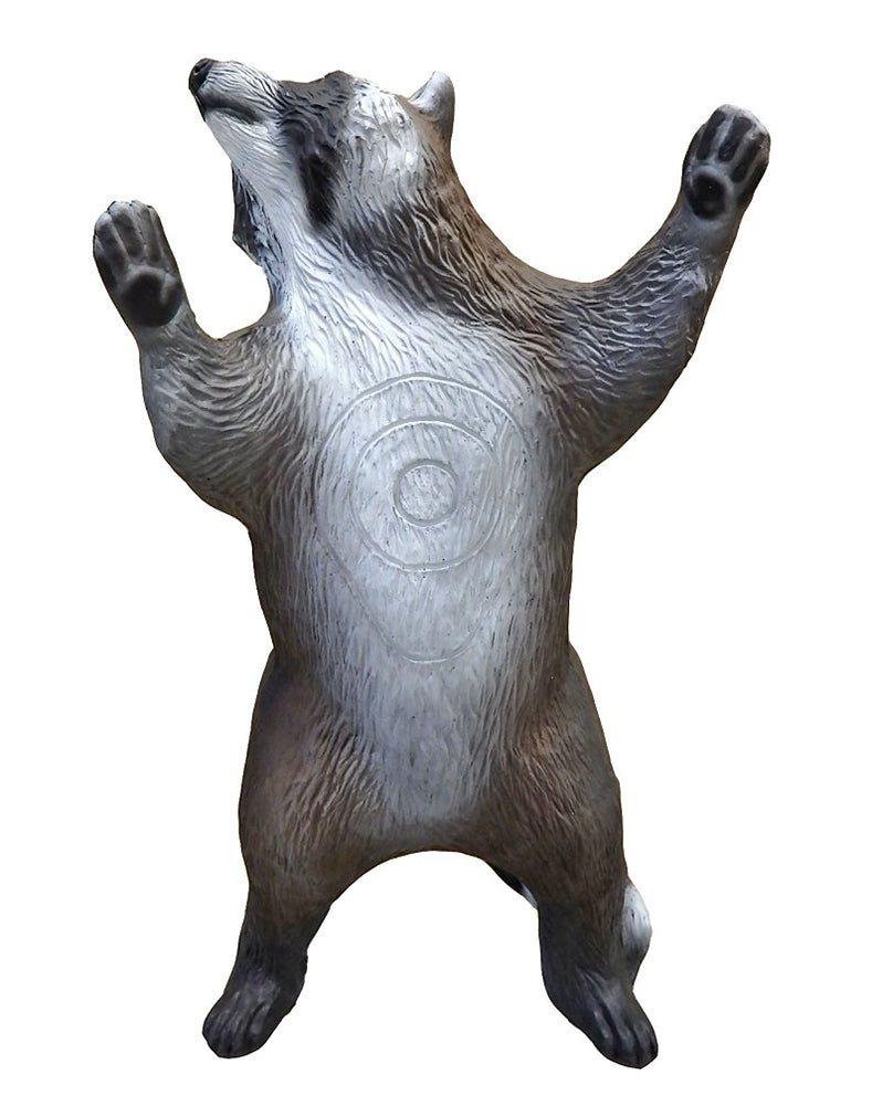 Leitold, Waschbär kletternd