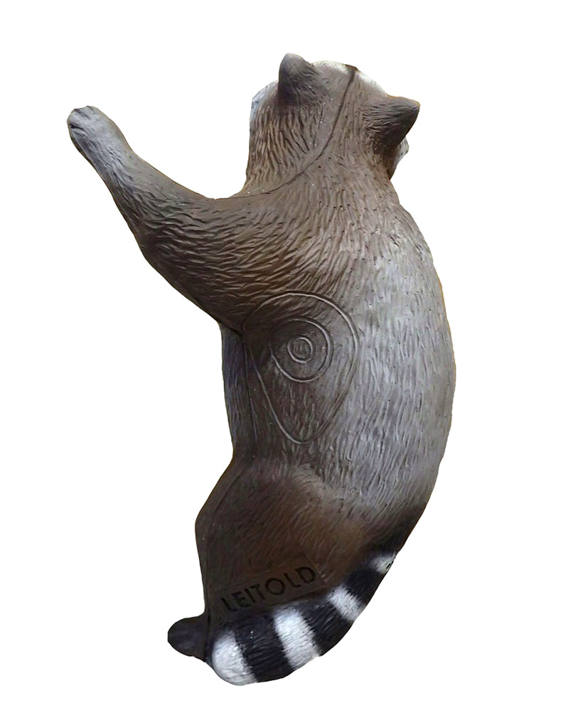 Leitold, Waschbär kletternd