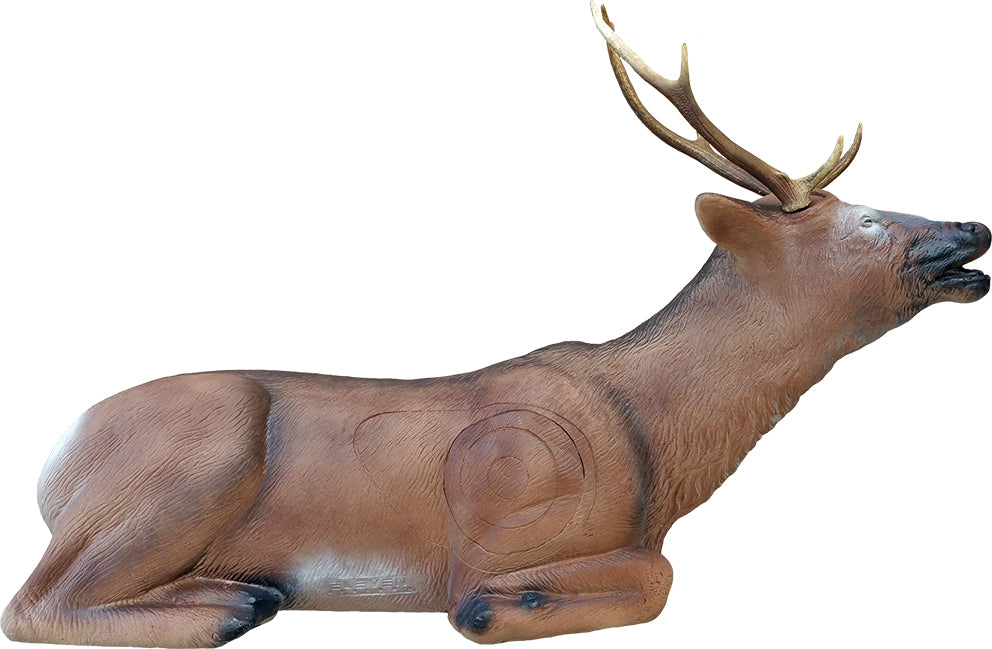 Eleven Liegender Hirsch