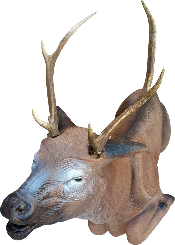 Eleven Liegender Hirsch